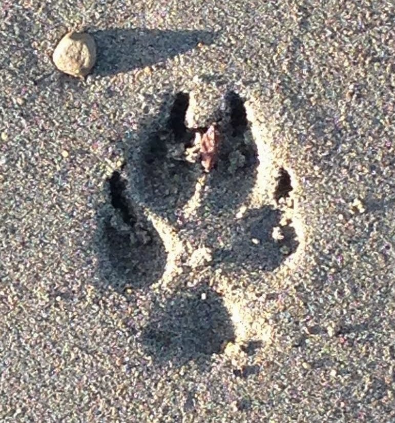 Stop The Press! It's Another Milo Memo!